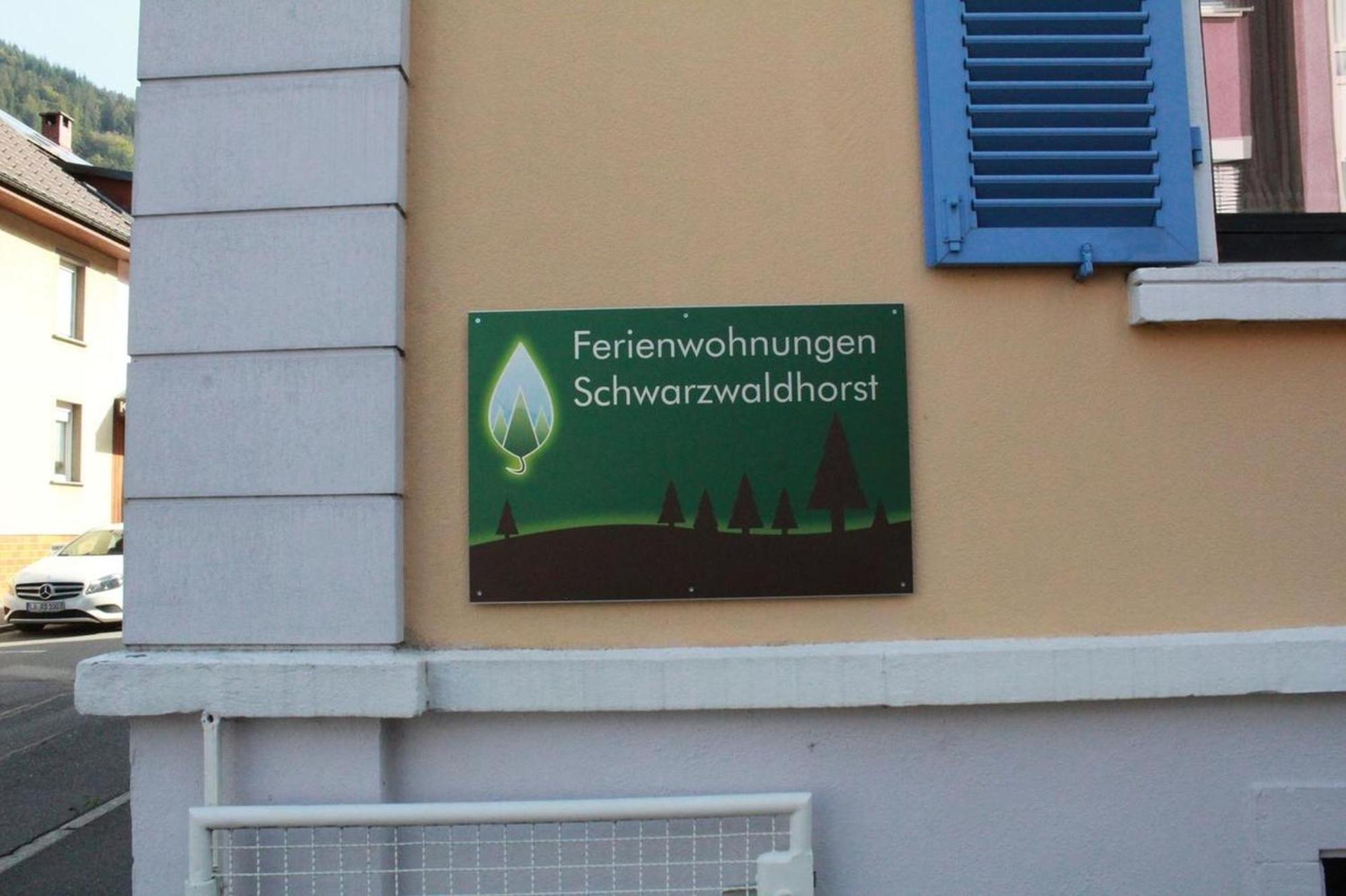 Schwarzwaldhorst 1 Fuer 8 Gaeste In Todtnau, Liftverbund Feldberg Ngoại thất bức ảnh